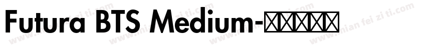 Futura BTS Medium字体转换
